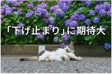 「【投資クイズ】平均利回りが5.2％に上昇！J-REITの価値を見直す」の画像1