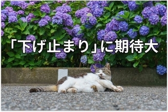 【投資クイズ】平均利回りが5.2％に上昇！J-REITの価値を見直す