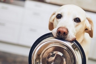 もうちょい先？本格的な日本株買いの好機いつ