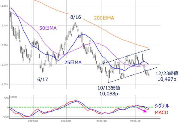 今週の株式市場　「掉尾の一振」期待で買えるか？～ 高まる警戒モードで今年は要注意 ～