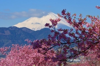 今週は、2万8,000円水準でのもみあいで週後半は手控えムードへ