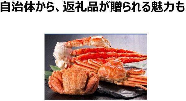窪田真之流・ふるさと納税：2,000億円超を運用した日本株ファンドマネジャーはフル活用（窪田真之）
