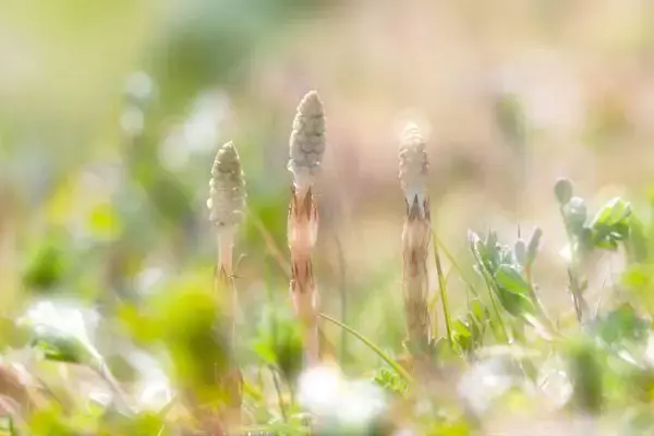 今週から3月相場に突入。10日の雇用統計の発表を控え様子見