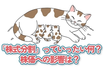「株式分割」っていったい何？株価への影響は？