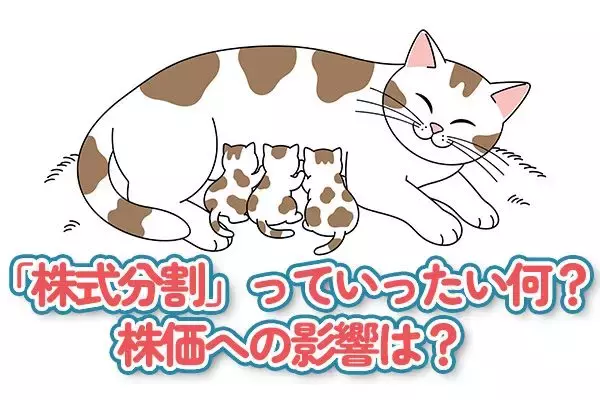 「株式分割」っていったい何？株価への影響は？