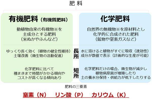 原油連動の「肥料ショック」で食品価格高、世界インフレは加速