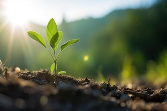 新NISAで将来的な資産成長を目指すには？