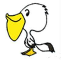 初IPO、わずか数日間で2,000万円の利益！優待＆高配当＆FIRE投資家　ペリカンさんインタビュー　前編