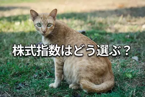 【クイズ】積立投資は何がいい？日経平均・TOPIX・S＆P500・ナスダック・NYダウ