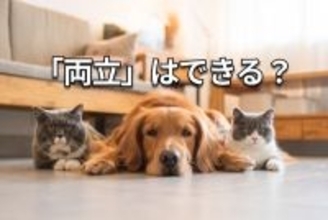 【クイズ】高配当の人気優待株は？ソフトバンク、OLC、マクドナルド…