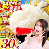 「［ふるさと納税］トイレットペーパーやお米など、生活応援品がランクイン！2026年2月の人気返礼品トップ10-2/25時点」の画像10