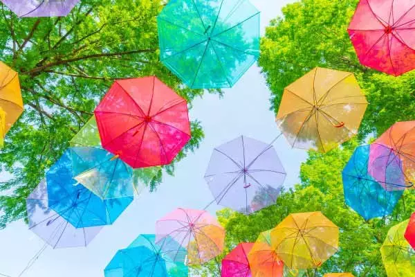 日経平均株価は3万2,412円でスタート～注目の5銘柄を分析