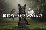 「【投資クイズ】GPIFの資産構成に学ぶ、株はどれだけ持てばよい？」の画像1