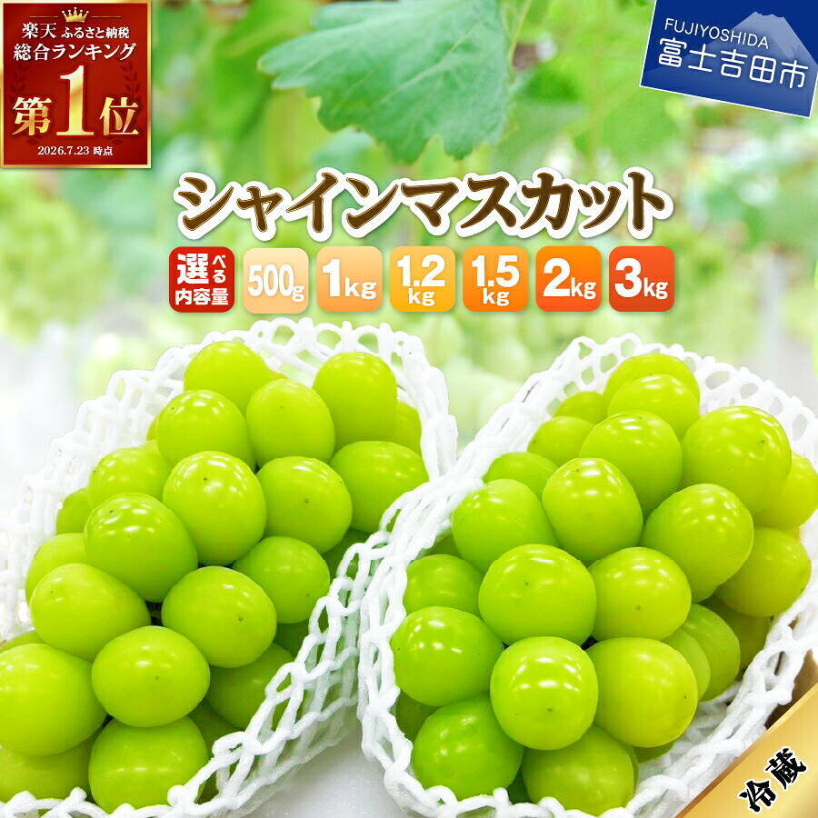 ［ふるさと納税］塩銀鮭やホタテ、マスカットなど絶品グルメがランクイン！ 2026年8月の人気返礼品トップ10-8/26時点