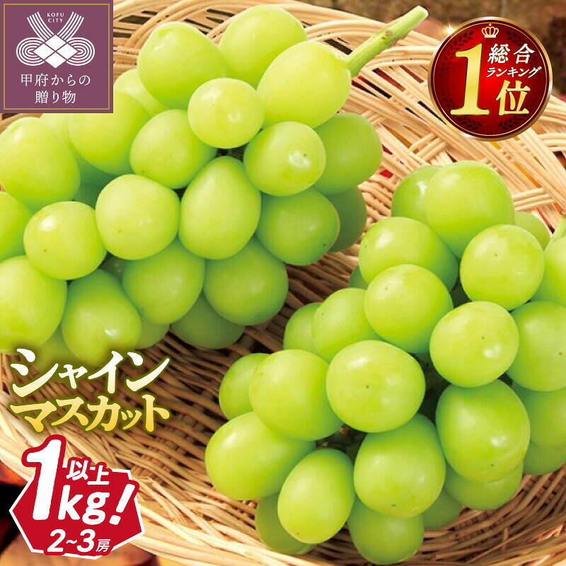 ［ふるさと納税］塩銀鮭やホタテ、マスカットなど絶品グルメがランクイン！ 2026年8月の人気返礼品トップ10-8/26時点