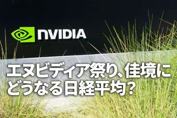 エヌビディア祭り、佳境に。日経平均どうなる？（窪田真之） 
