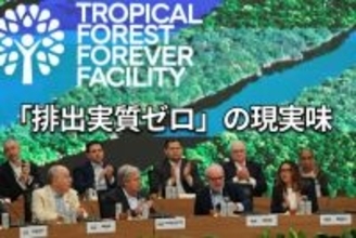 COP30で露呈した溝：地球温暖化を食い止める最良の対策は？