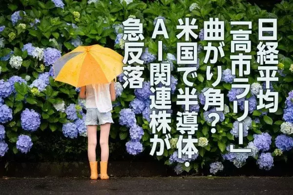 日経平均「高市ラリー」曲がり角？米国で半導体・AI関連株が急反落（窪田真之）