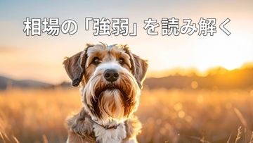 【投資クイズ】ローソク足の「上ヒゲ・下ヒゲ」は何を示す？