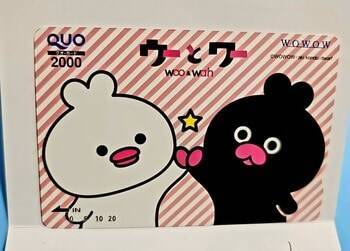 まだ間に合う！かすみちゃんが選ぶ期待の3月株主優待：QUOカード1万円分がもらえるデジタルハーツなど