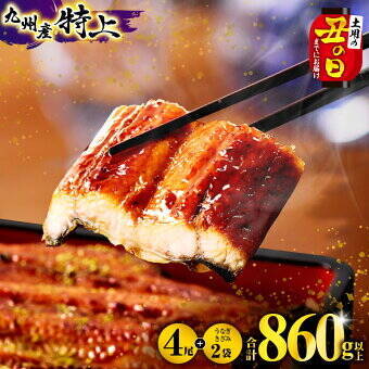 ［ふるさと納税］5年連続総合1位！人気の桃が約2kg！2026年6月の人気返礼品トップ10-6/24時点