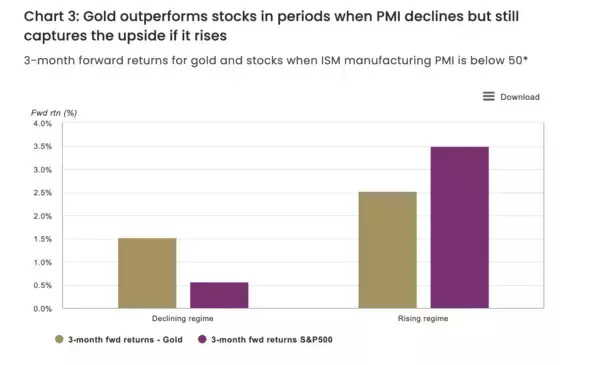 「1971年以来の金融ショックなのか！金本位制のBRICS新通貨が登場！？」の画像