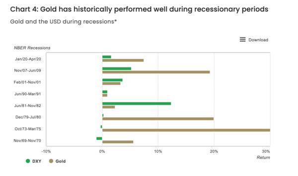 1971年以来の金融ショックなのか！金本位制のBRICS新通貨が登場！？