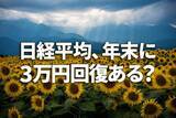 「日経平均、年末に3万円回復ある？2022年の日経平均予想を振り返り」の画像1