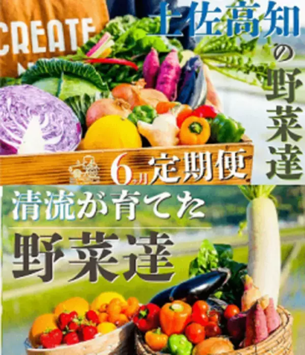 「優待弁護士厳選、ふるさと納税BEST10」の画像