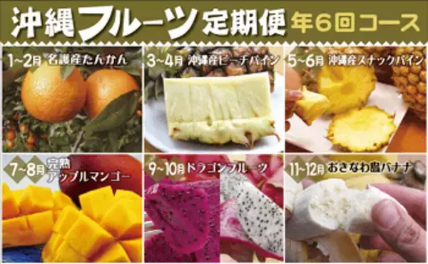 「優待弁護士厳選、ふるさと納税BEST10」の画像