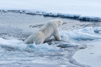 強敵出現で前途多難！銀行の生き残り方を考える