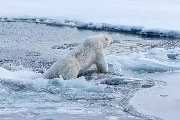強敵出現で前途多難！銀行の生き残り方を考える