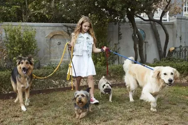 GPIF（年金）より好成績な分散投資「カルテット運用」。差は金とREIT