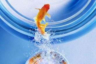 株式市場が下落中。解約？減額？「ラップ」で急落回避術