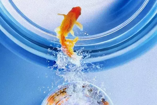 株式市場が下落中。解約？減額？「ラップ」で急落回避術