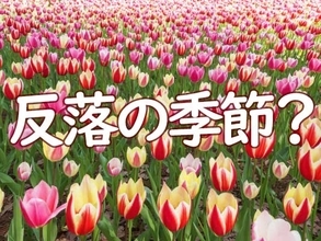 相場は反落の季節？ニュー・エコノミー・インデックスに注目