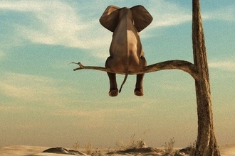 「波乱相場」なのに運用方針をほとんど変えなくていい理由