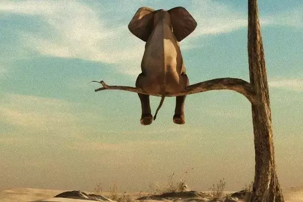 「波乱相場」なのに運用方針をほとんど変えなくていい理由