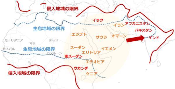 バッタとウイルスのダブルパンチが穀物価格を揺るがす！人類VS未知との戦いは続く