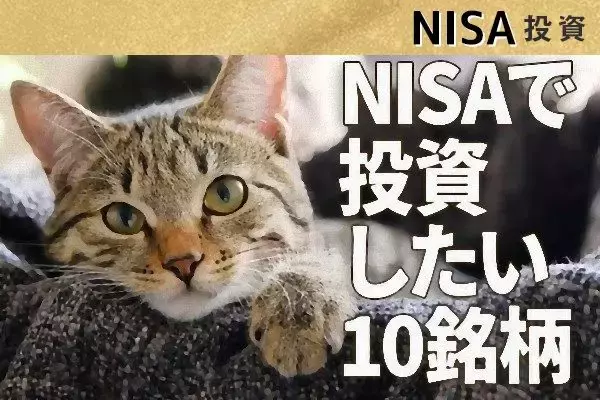 NISA枠で長期投資したい割安・高配当利回り株10選【投資初心者】
