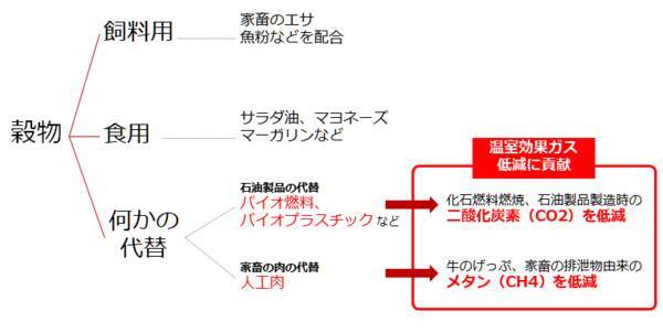 脱炭素は上昇気流！穀物3銘柄の価格が上昇する7つの理由