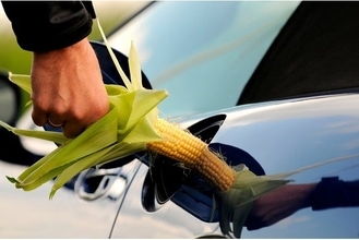 バイデン大統領誕生で穀物価格上昇？その理由を解説