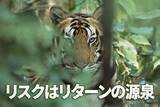「世界株式の調整は続く？リスクはリターンの源泉なり」の画像1