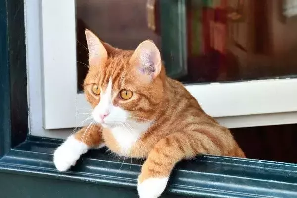 雇用統計待ちの日経平均、前のめりに動く可能性も。業績期待と買いの強さが試される