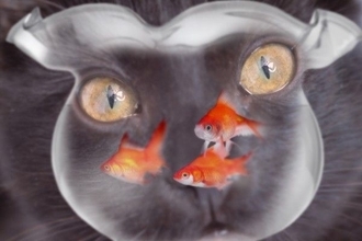 日経平均は2万7,000円台で踏ん張る？売られ過ぎでも手控える戦略を