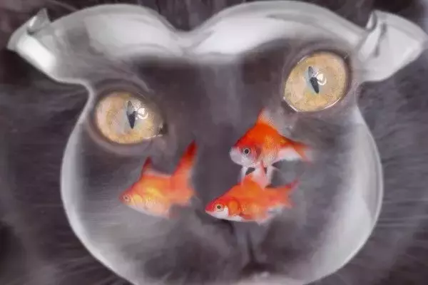 日経平均は2万7,000円台で踏ん張る？売られ過ぎでも手控える戦略を