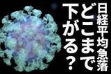 「日経平均急落。南アの新変異型ウイルスを警戒。どこまで下がる？」の画像1