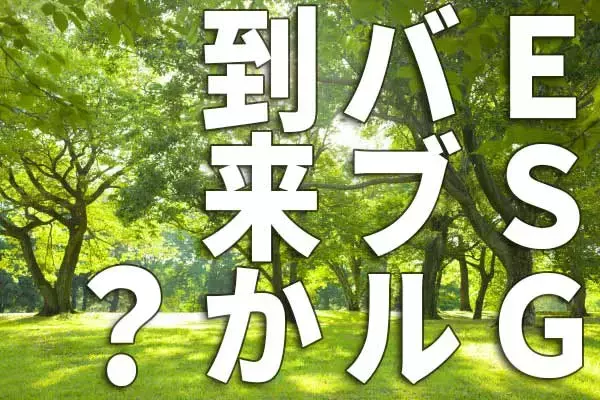 ESGバブル到来？「EV」買われ、「LNG」売られる