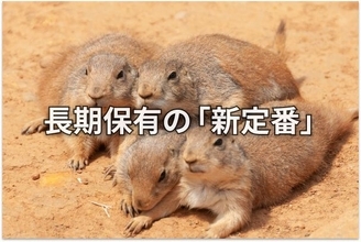 【投資クイズ】INPEX、ホンダ、JR東海、ソフトバンクは割安か？