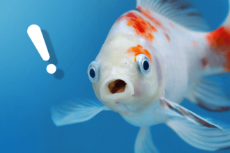 えっ、日本の会社だと思ったら、実は外資企業！？